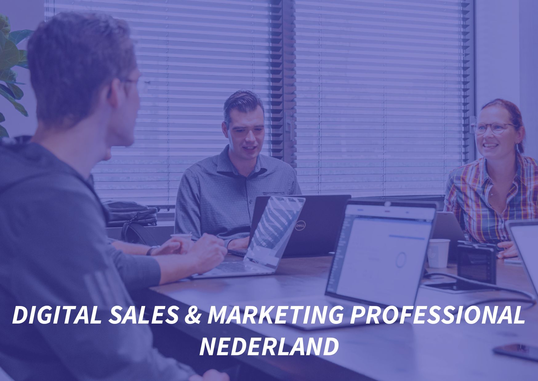 Digital Sales & Marketing Professional NL